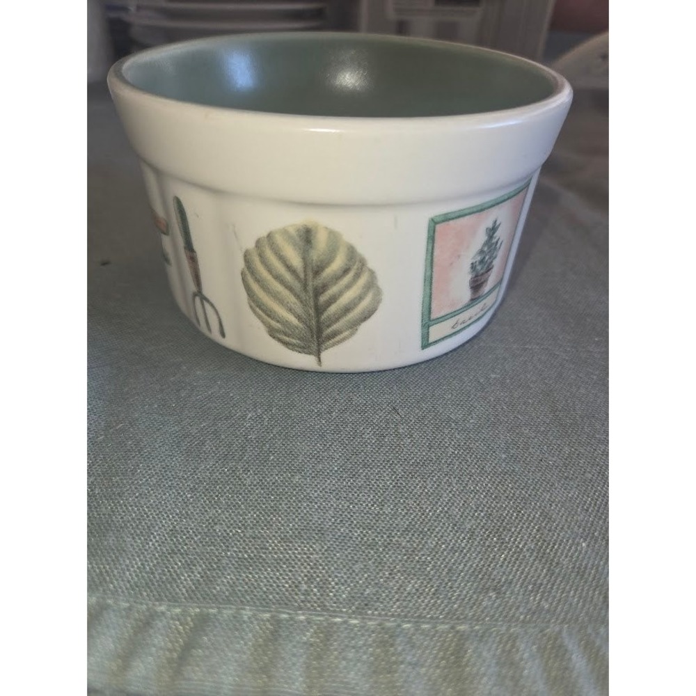 Pfaltzgraff Naturewood Portfolio Ramekin/ Soup Cup Green White Botanical 4in